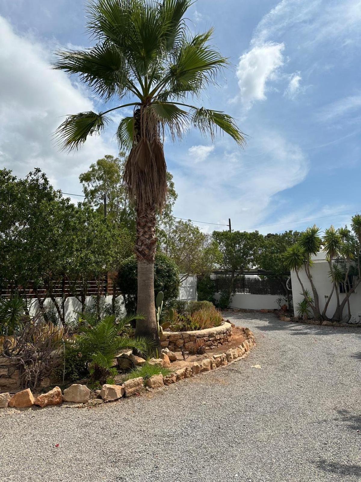 Micasa Ibiza Villa San Antonio  Buitenkant foto