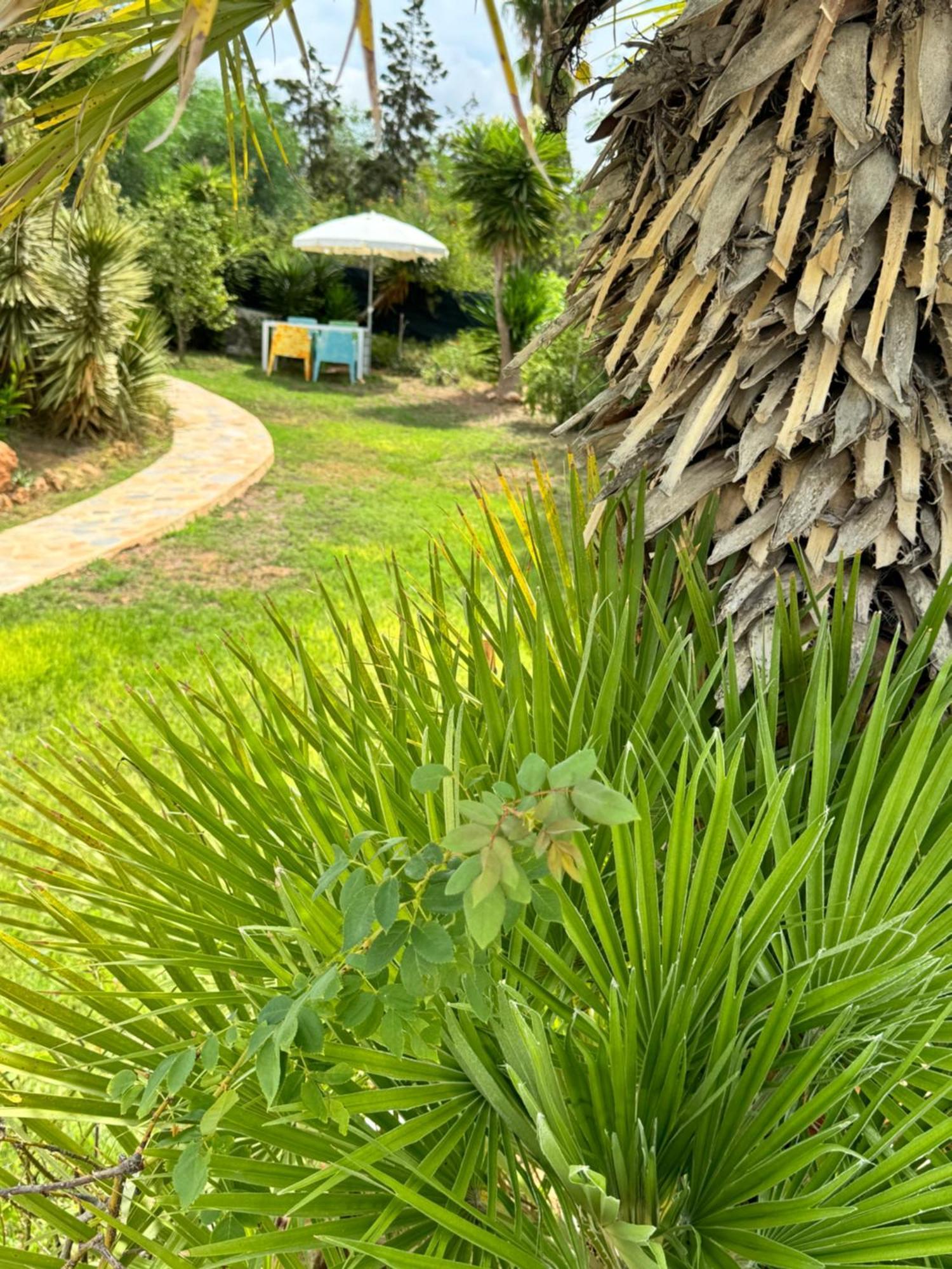 Micasa Ibiza Villa San Antonio  Buitenkant foto