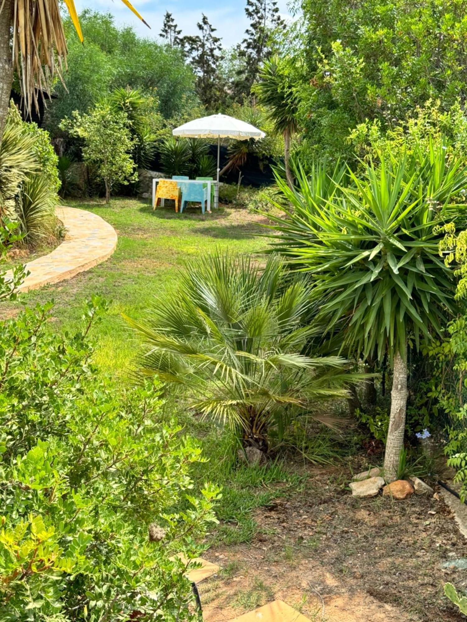 Micasa Ibiza Villa San Antonio  Buitenkant foto