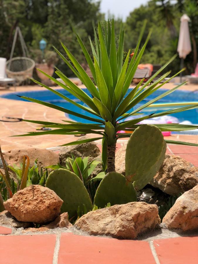 Micasa Ibiza Villa San Antonio  Buitenkant foto